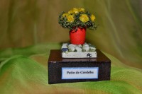 /album/minipeanas1/peanascuadros-009-jpg2/